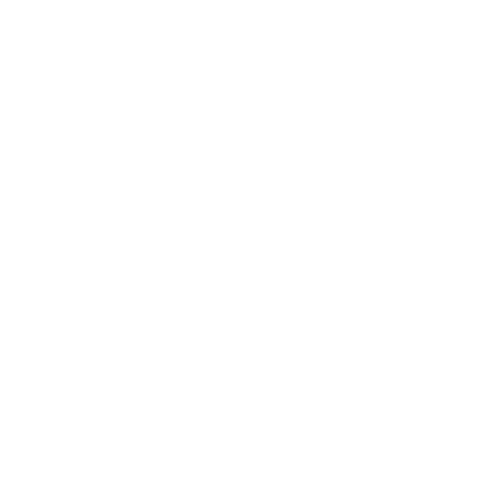 Bali RSV Logo White